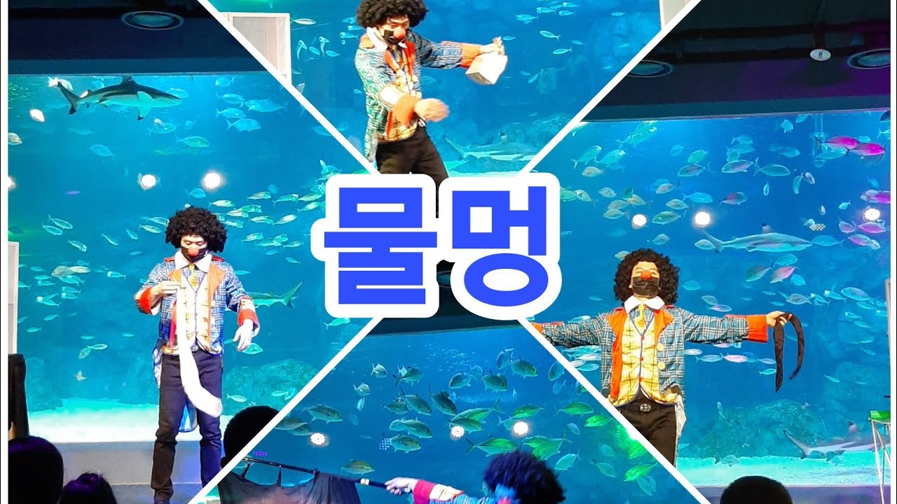 물멍과 함께하는 아쿠아매직 마술쇼 아쿠아플라넷 광교에서 만나요
