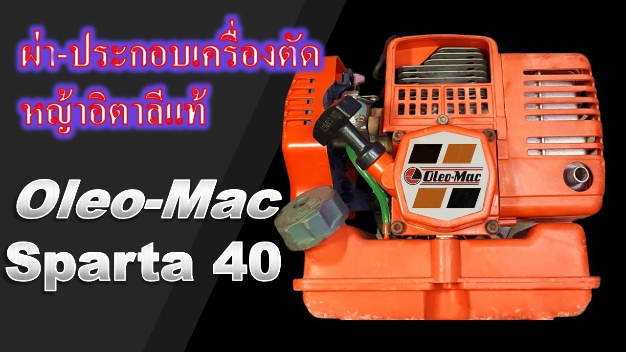 Oleo-Mac Sparta 40, two stroke brush cutter engine rebuild