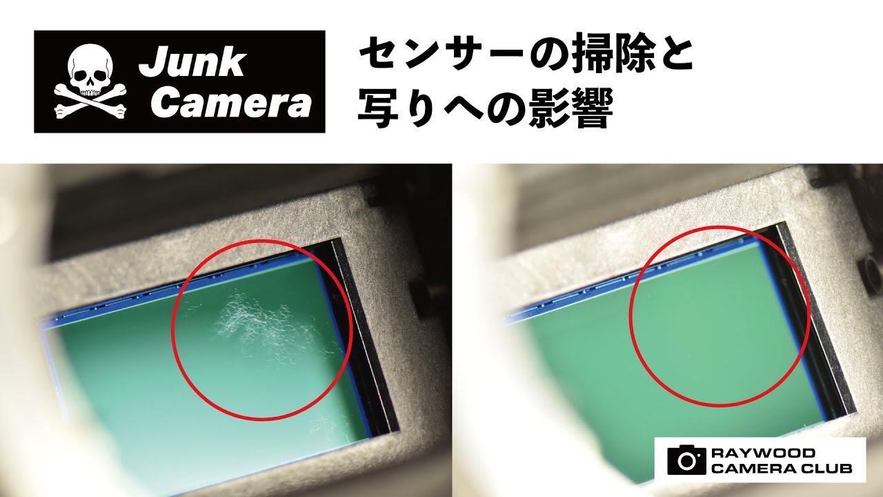 センサークリーニングキットを使ってセンサーを掃除してみました。ついでにミラー清掃も！（NIkon D70 + SIGMA 30mm F1.4ジャンクにて）【RAYWOODカメラ部】