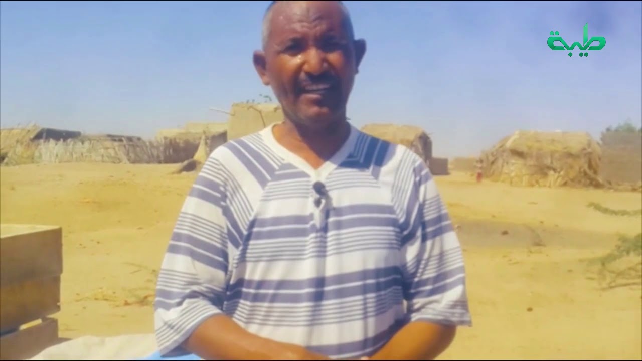 تقرير: جبنة الدويم الشهيرة كيف تصنع؟ | صباحات طيبة