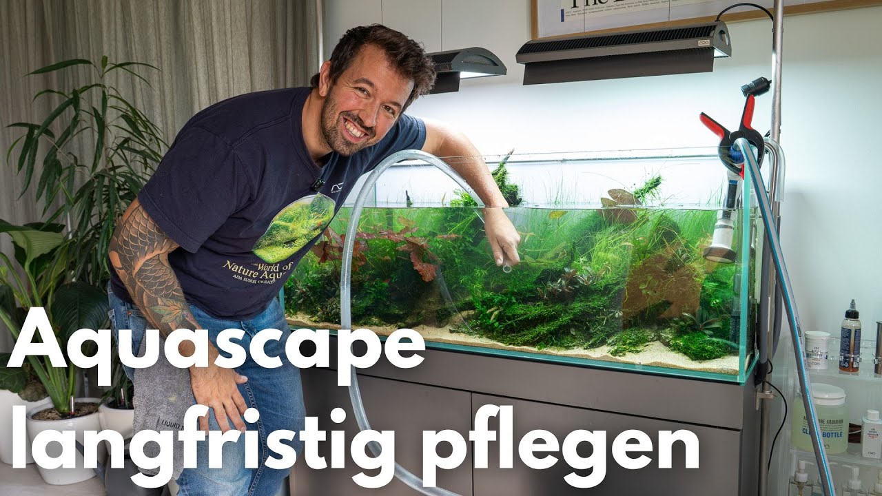 Wie pflegt man ein Aquascape langfristig?