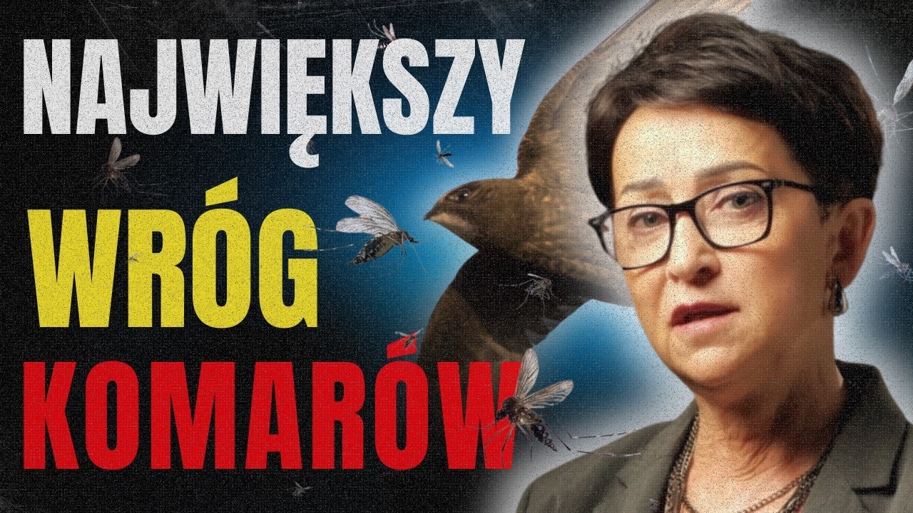 JERZYKI. Niezwykłe ptaki, które znikają w Polsce