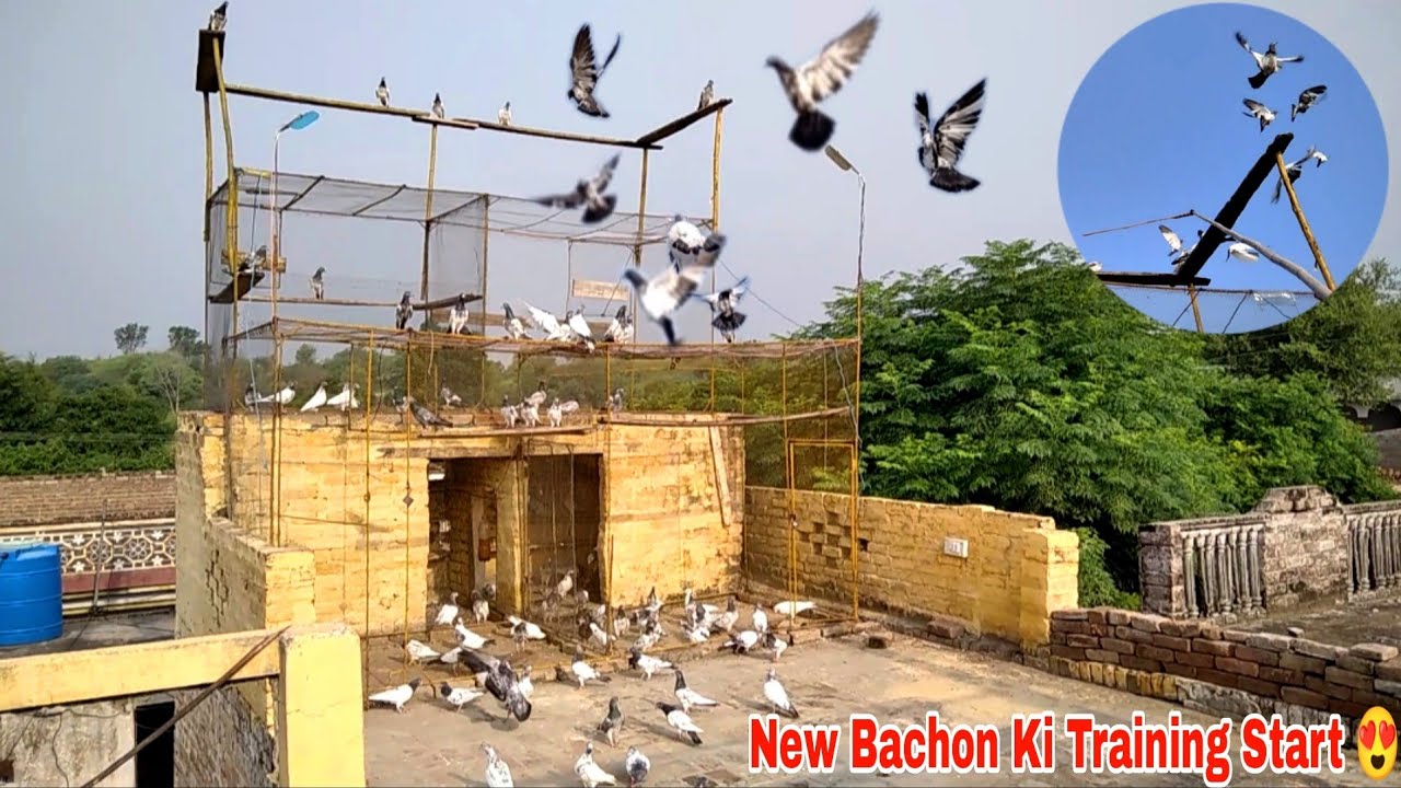 Sare Choty Bache Bahar Nikale 🫴🕊️ 2nd Day Ura B Diyeee 😍