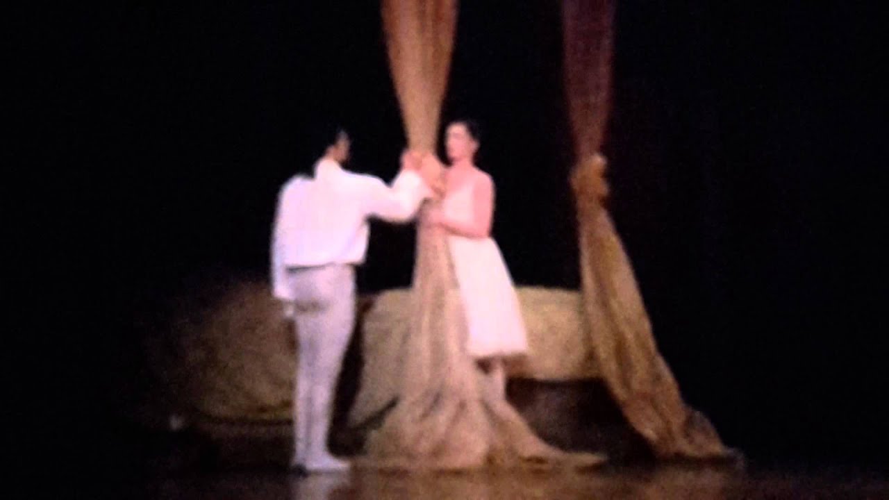 Roberto Bolle e Aurèlie Dupont - Histoire de Manon