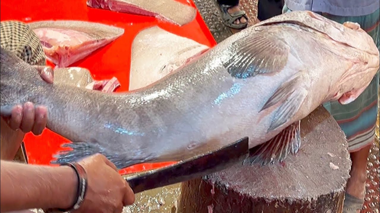 Incredible 23Kg Giant Grouper Fish Cutting In Bangladesh | Amazing Cutting Skills