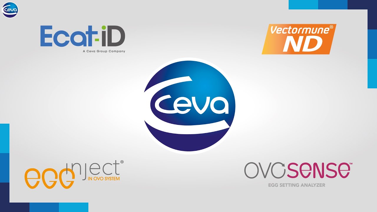 Ceva HQ v2