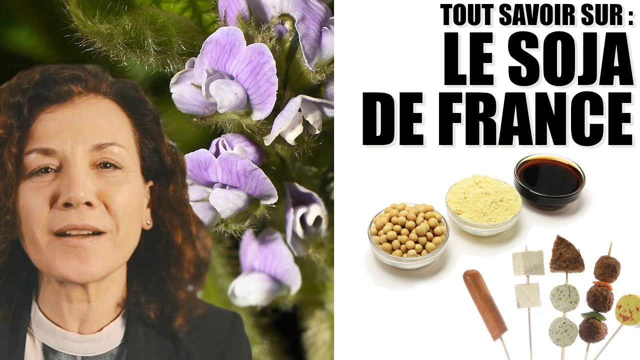 Le Soja français, un bienfait pour notre alimentation et notre environnement