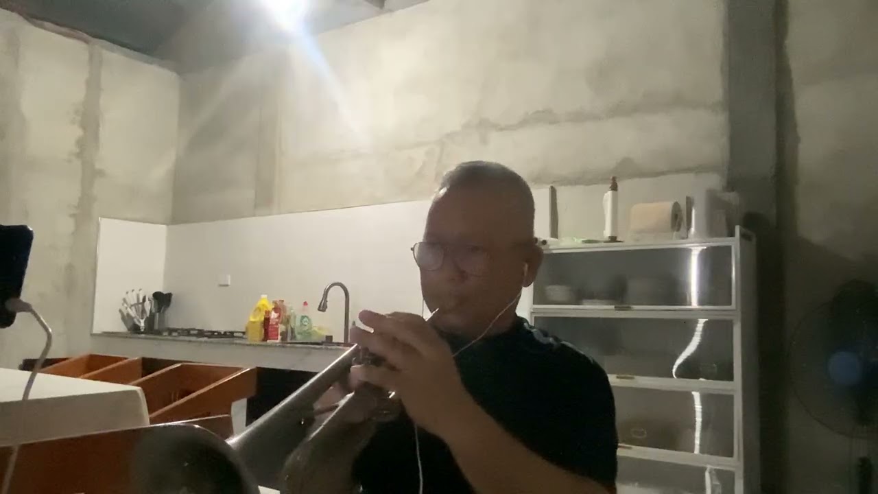 TIME OF YOUR LIFE - Paul Anka  (Trumpet) cover