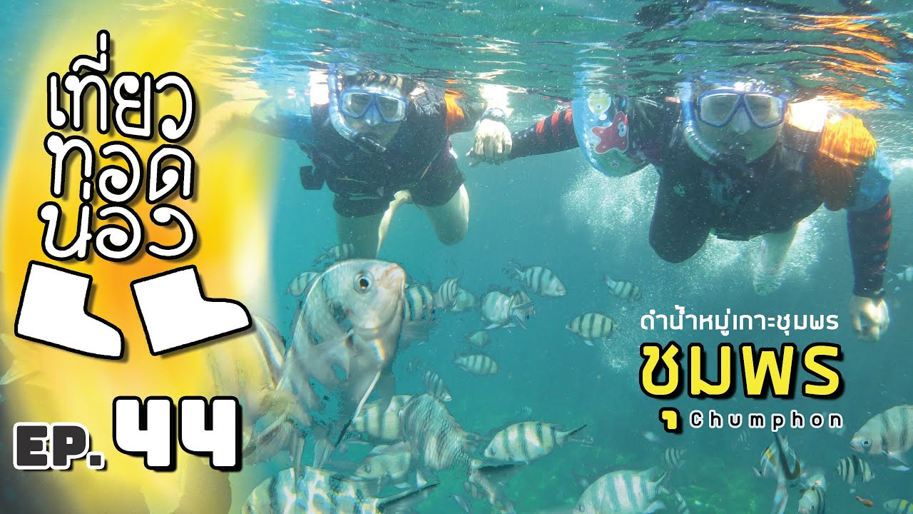 「เที่ยวทอดน่อง」Ep.44 ณ ชุมพร | เที่ยวหมู่เกาะชุมพร ดำน้ำเกาะรังกาจิว-ละวะ-หลักแรด-มาตรา  | Sekatong