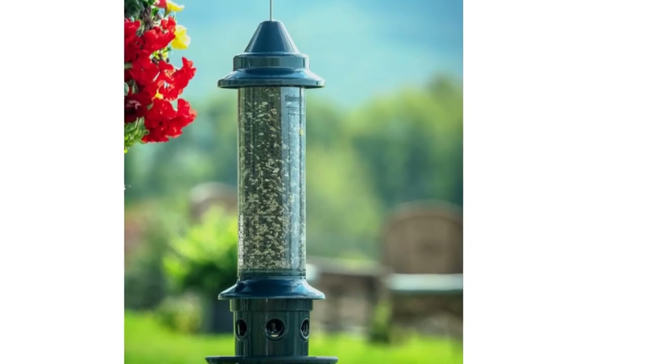 TOP 5 Best Squirrel Proof Bird Feeders 2026 | Top bird feeders for backyard birds