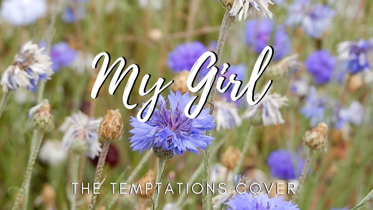 My Girl Cover | Clovelly Garden | Knightshayes | Devon flowers
