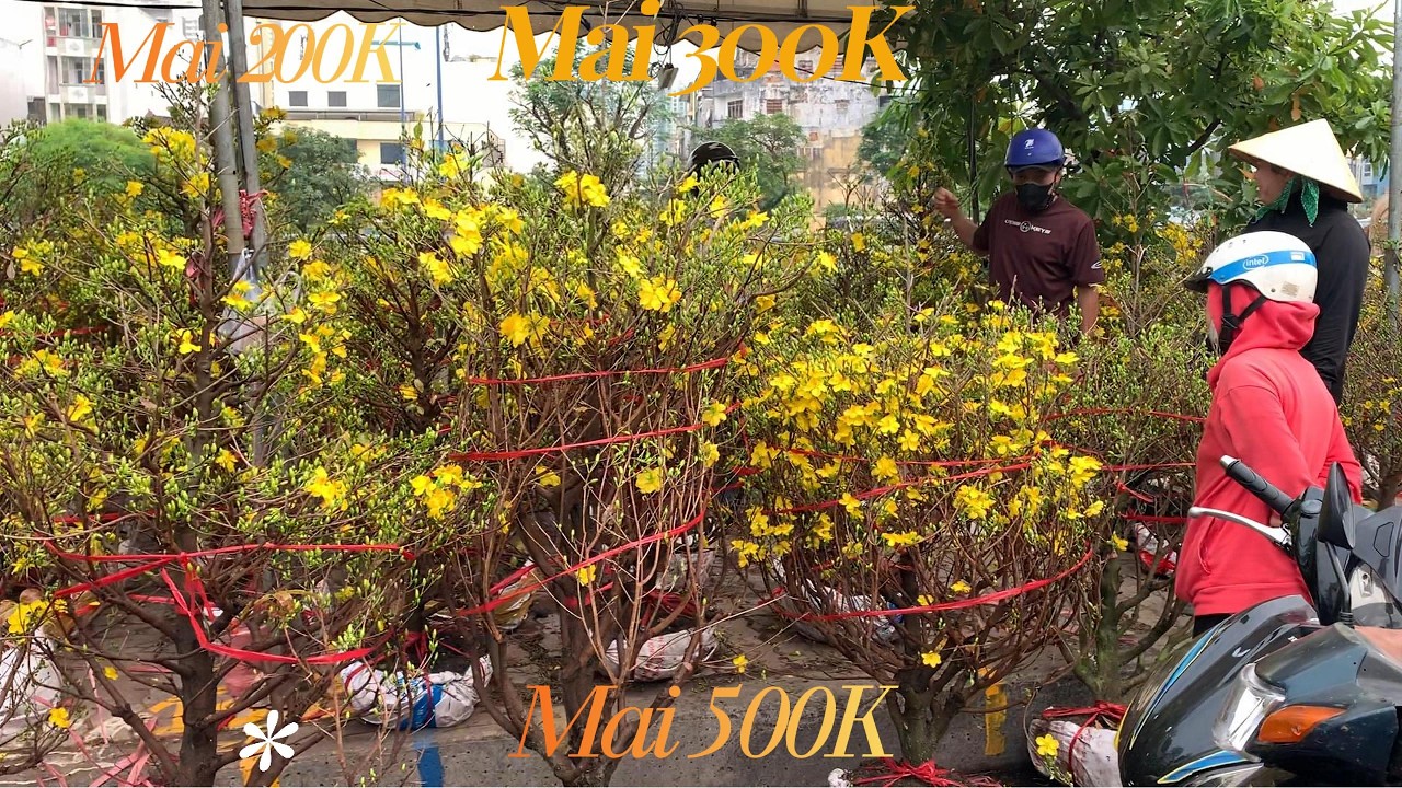 Nhật ký Sài Gòn Số 029 : Bến Bình Đông Quận 8 - Mai 200k , 300k , 500k nhà vườn xả hàng bán rẻ