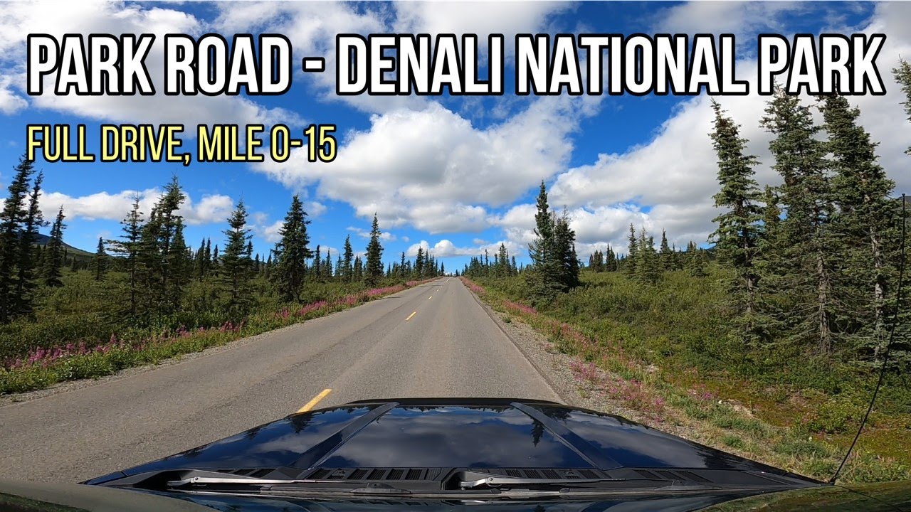 Denali Park Road | Mile 0.0 to Mile15.0 | Full Drive | Denali National Park