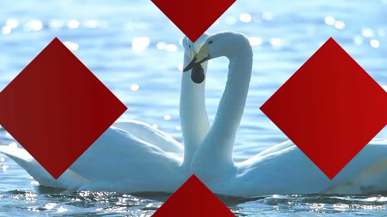 Eterno Amor - Karaoke