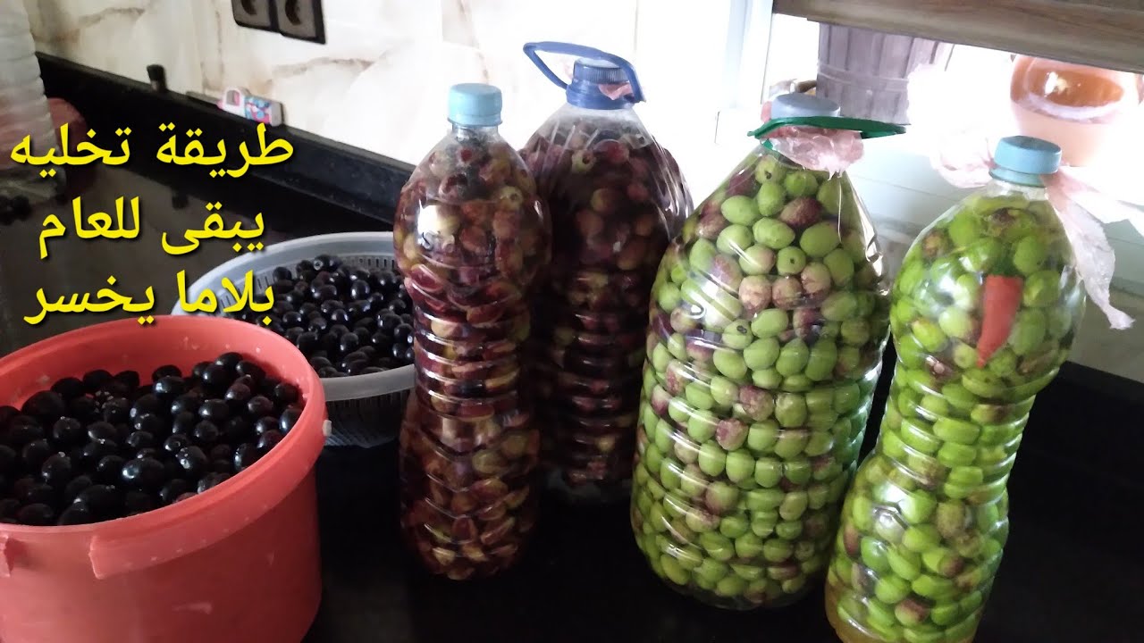 ترقاد الزيتون الأخضر والأسود والأحمر مع أهم النصائح باش يبقى مدة طويلة وبلاما يخسر...