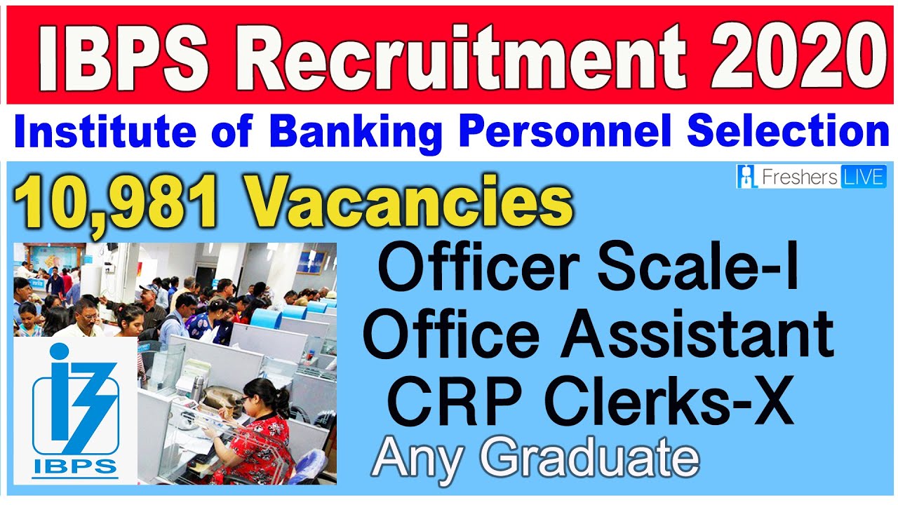 IBPS Recruitment 2020 | Govt Jobs | Bank Vacancy