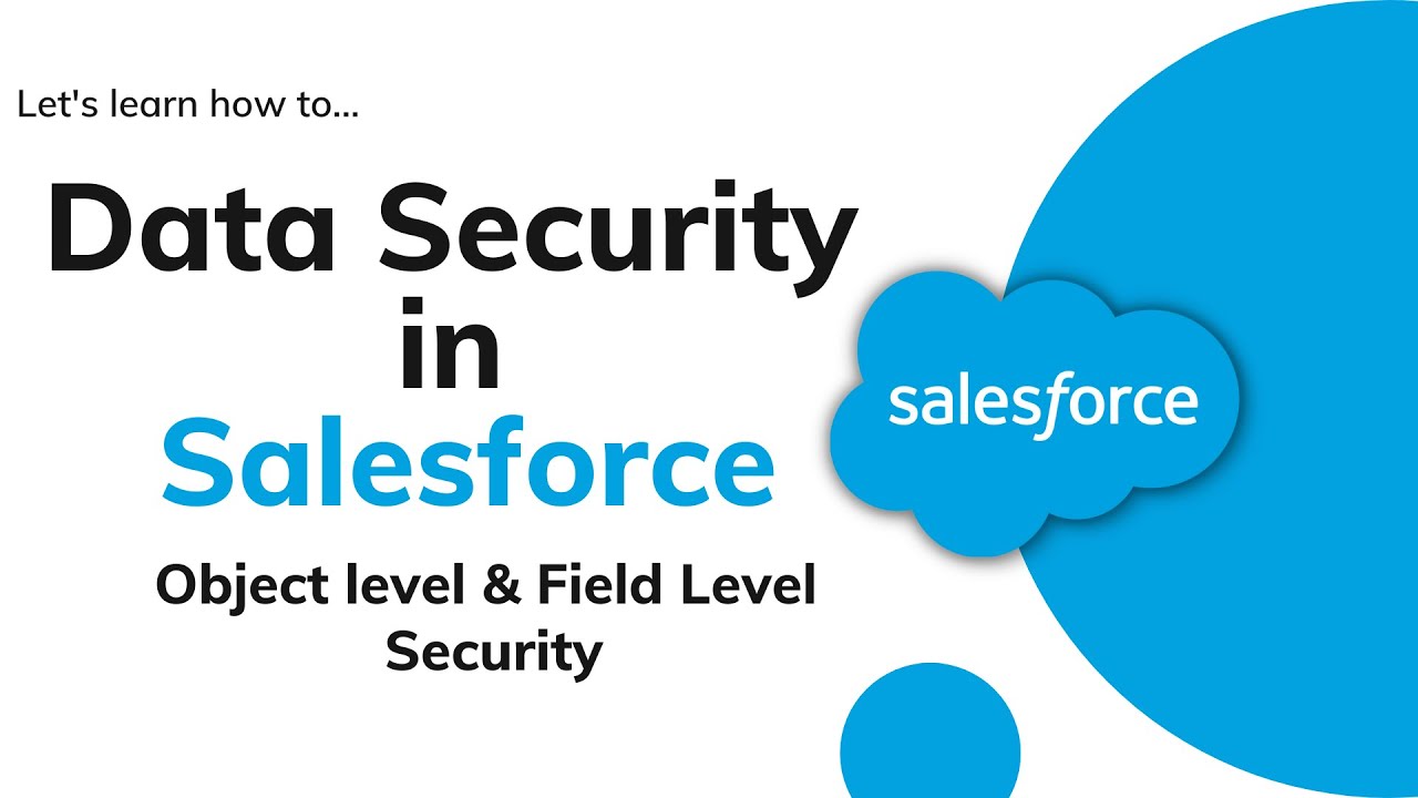 Object Level Security in Salesforce | Field Level Security and Profile Permissions in Salesforce