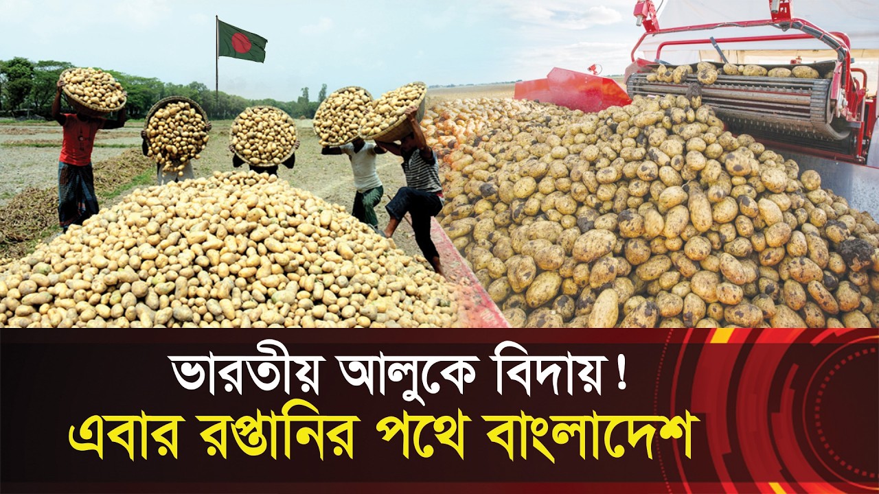 ভারতীয় আলুকে বিদায় !! আমদানির শিকল ভেঙে রপ্তানির পথে বাংলাদেশ !! Bangladesh to export potatoes