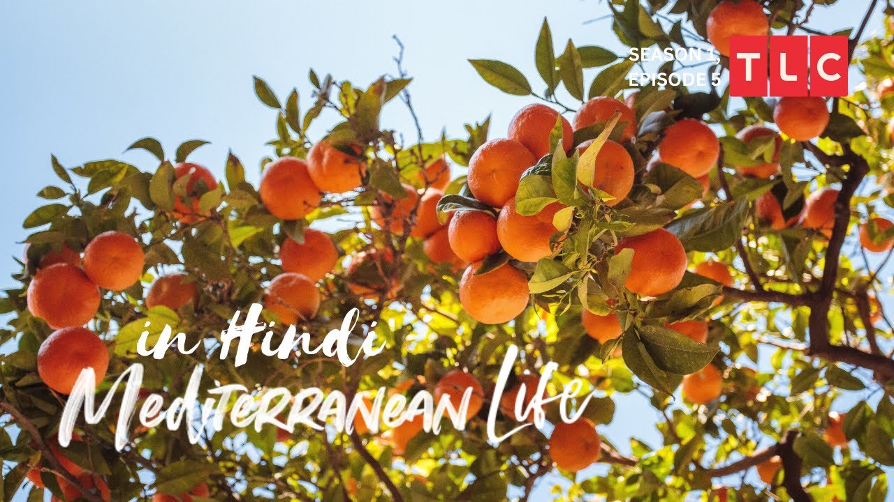 Mediterranean Life- in Hindi (SEASON 1, EPISODE 5) From Florida to the Spanish Coast!