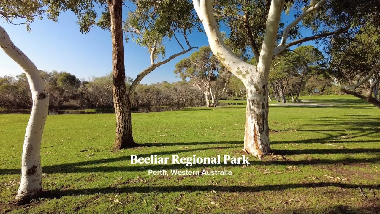 Winter walk through beautiful nature reserve in Perth, Western Australia | 📍Beeliar Regional Park