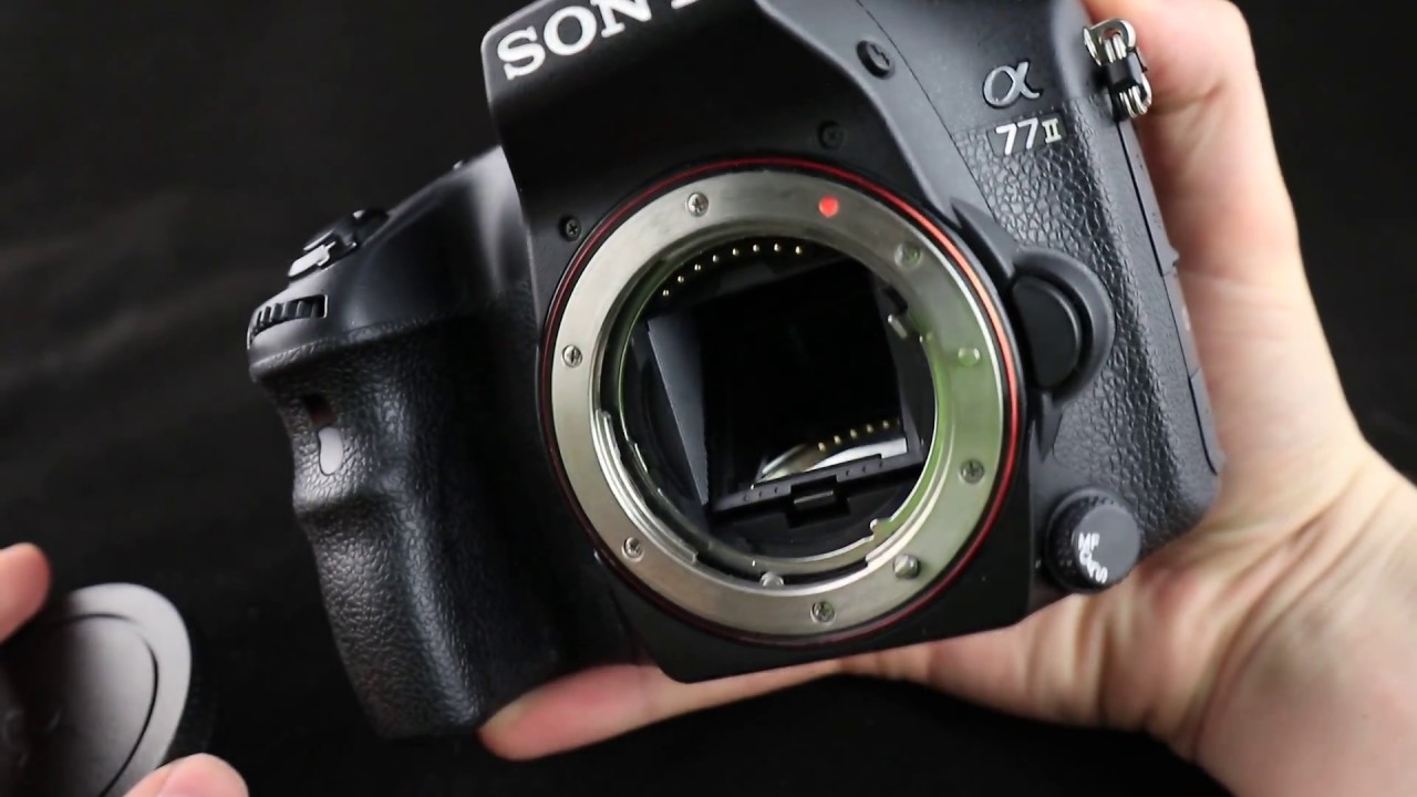 Sony A77m2 Video-Prezentacja Babun1