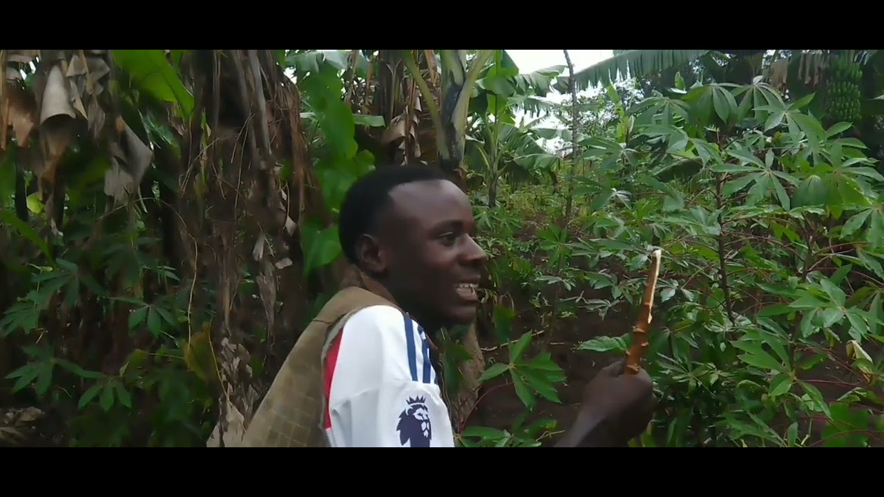 Ingaruka zo kutarima kandi waravyaye 
