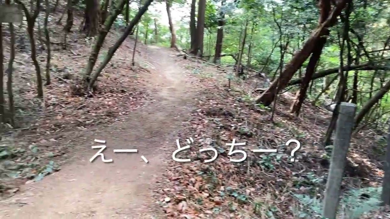 伏見稲荷に東側（山科）から登る　遭難編