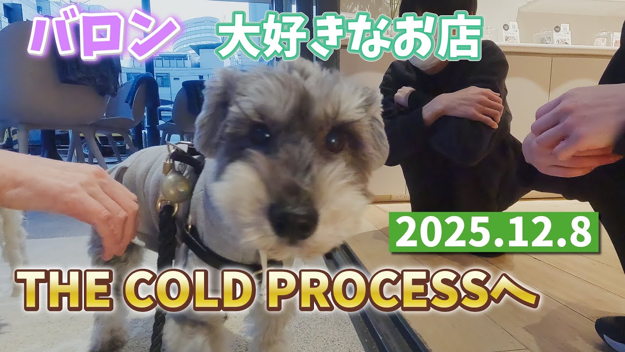 バロンが大好きなお店へ