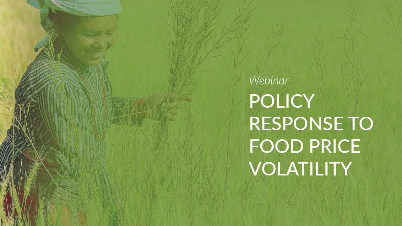 Webinar: Policy Responses to Food Price Volatility