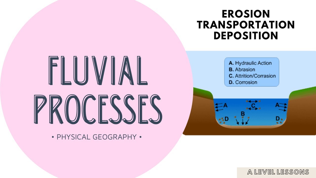Fluvial Processes of Erosion, Transportation, Deposition made EASY | A Level Geography (2024)