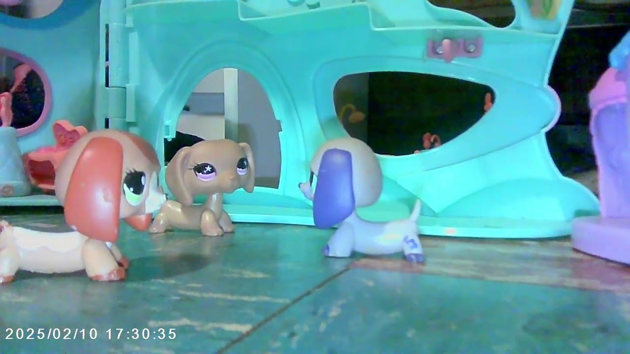 LPS: Pawsburry High Part 1 the house tour