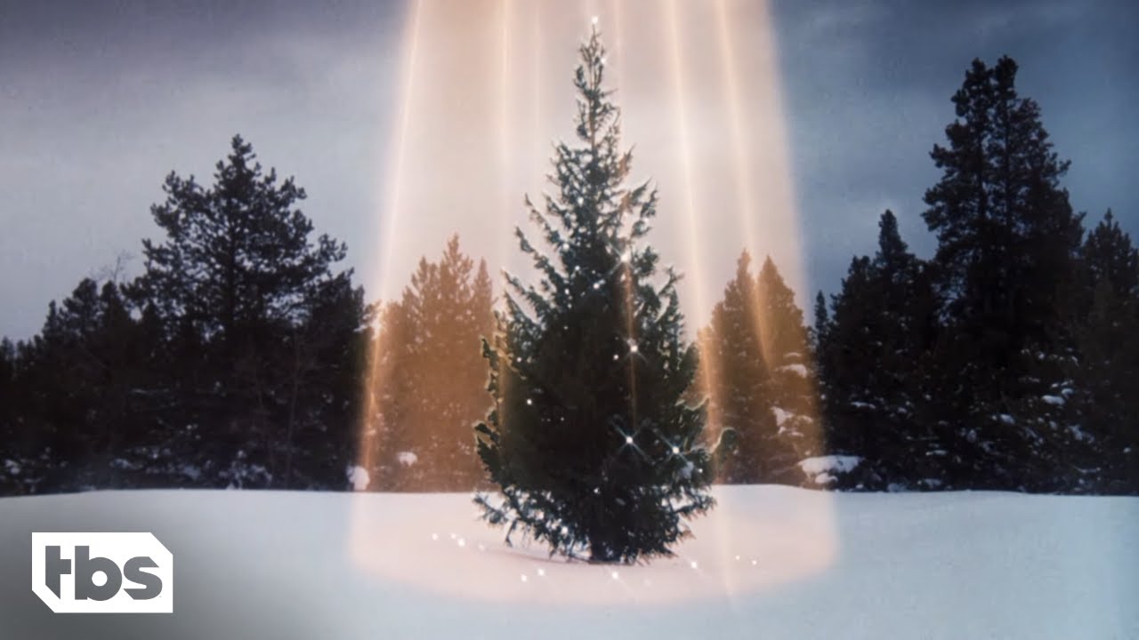 National Lampoon's Christmas Vacation: The Griswold&rsquo;s Find The Perfect Christmas Tree (Clip) | TBS
