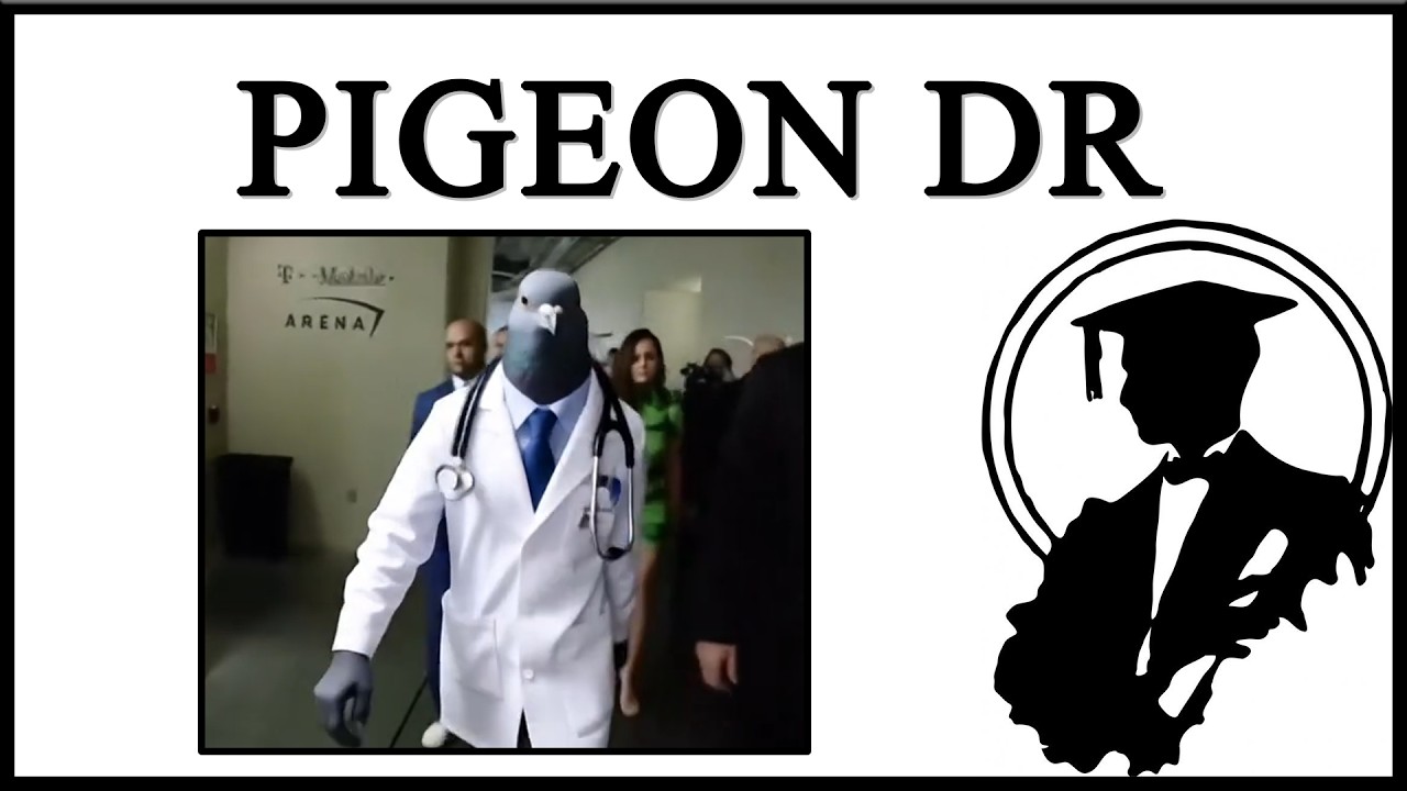 Pigeon Doctor Is Tuff