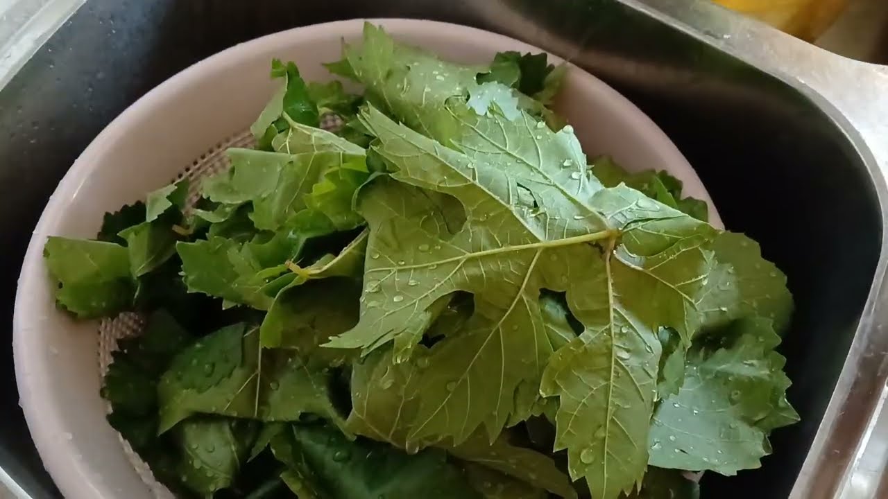 Making Stuffed Grape Leaves (Dolma) Over Fire in the Garden | Nature Cooking & Harvest 🍃🍇🔥🥣