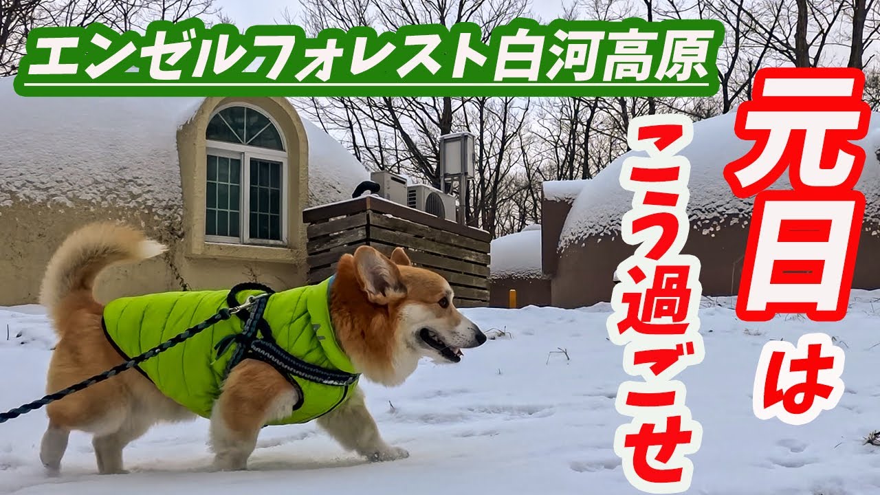 【2026元日エンゼルフォレスト】堪能の1日！コテージ巡り、鏡開き、温泉に入りゆったり過ごす。最高の時間を過ごした！