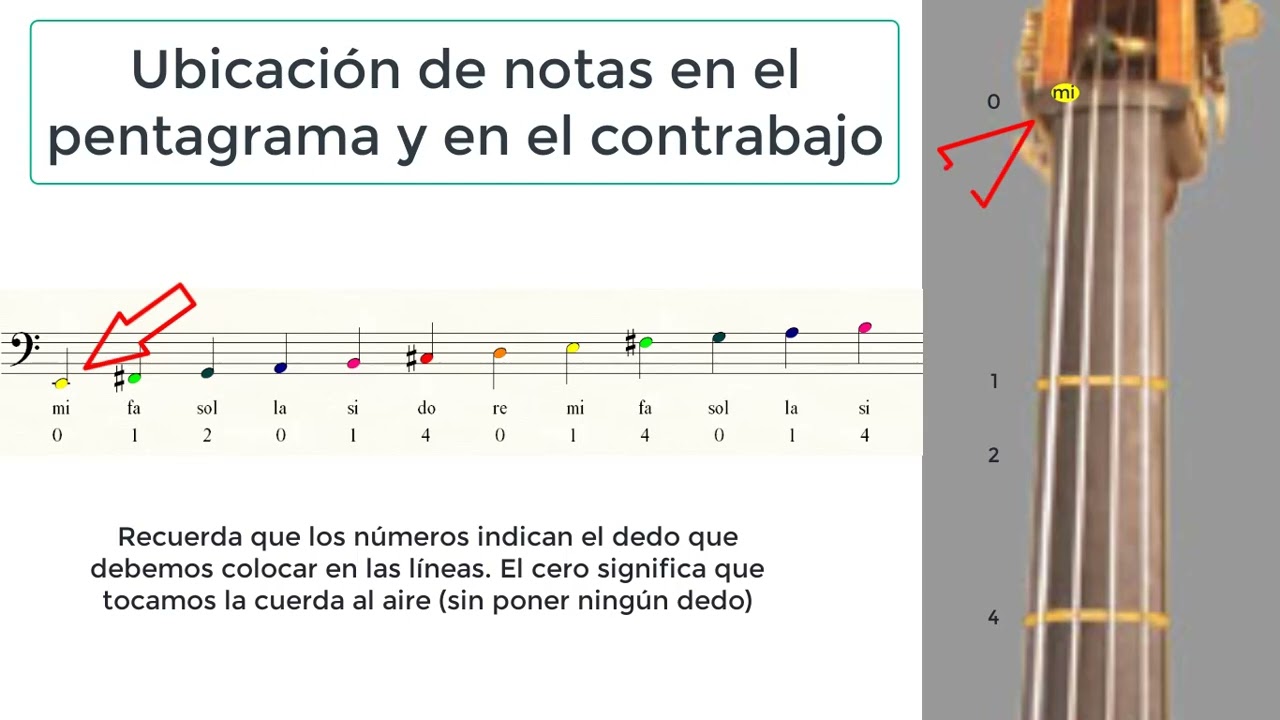 Ubicación de notas en el contrabajo y en el pentagrama.