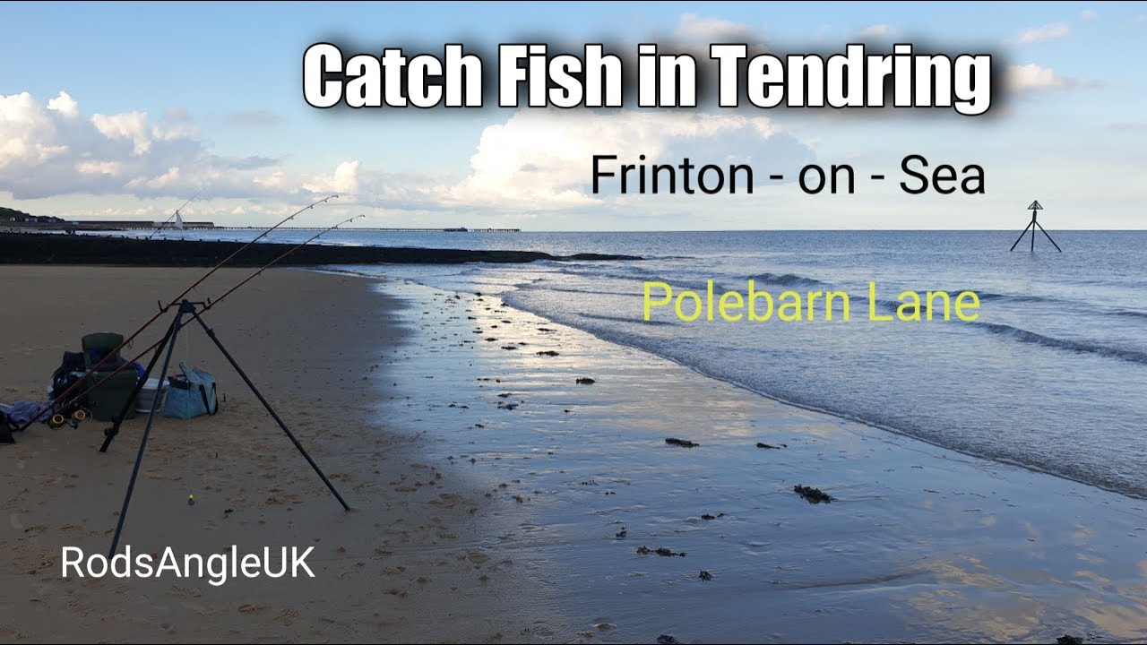 Catch Fish in Tendring: FRINTON - POLEBARN LANE