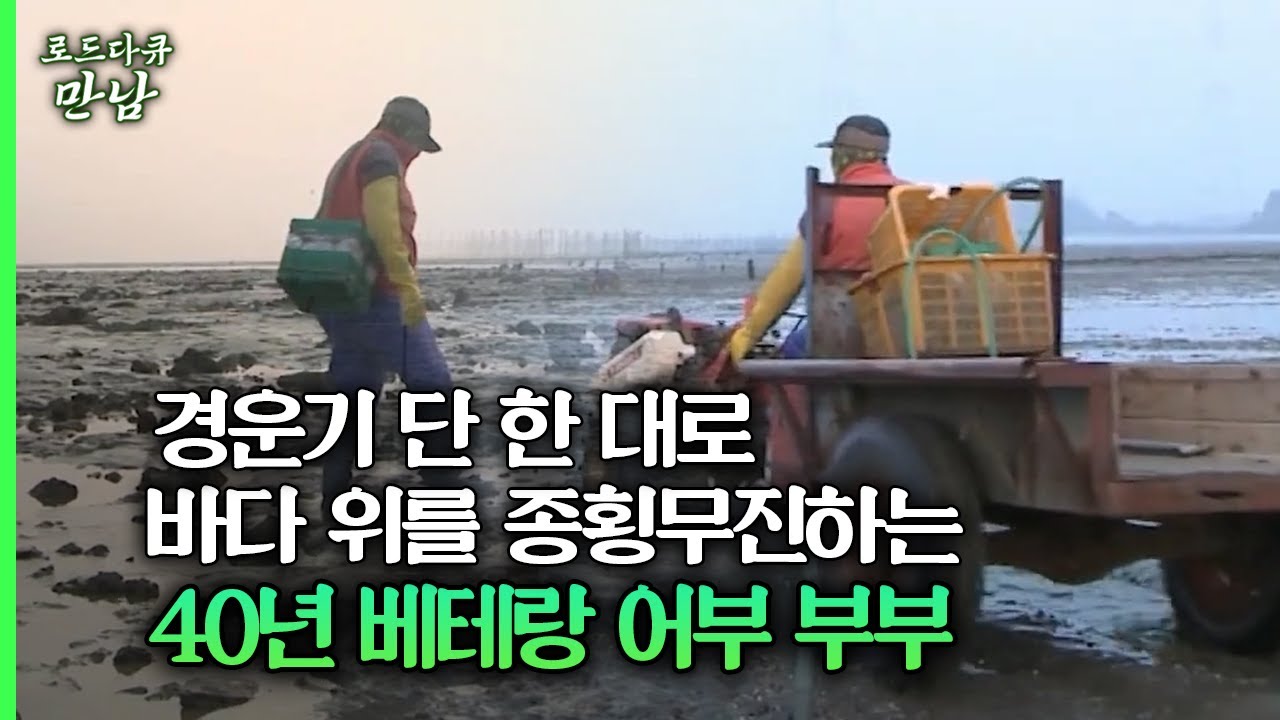 [로드다큐 만남 112회①] 경운기 단 한 대로 바다 위를 종횡무진하는 40년 베테랑 어부 부부