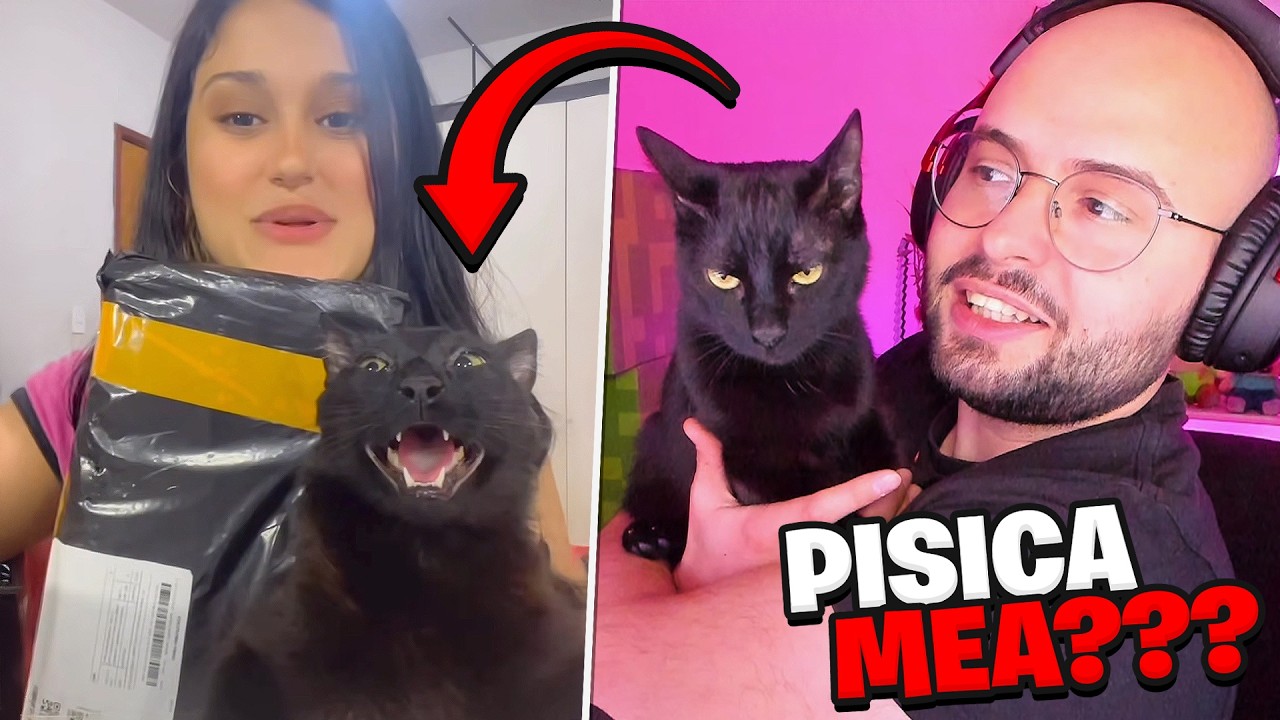 Reactionez la CELE MAI AMUZANTE VIDEO-uri cu PISICA MEA CIUDATA
