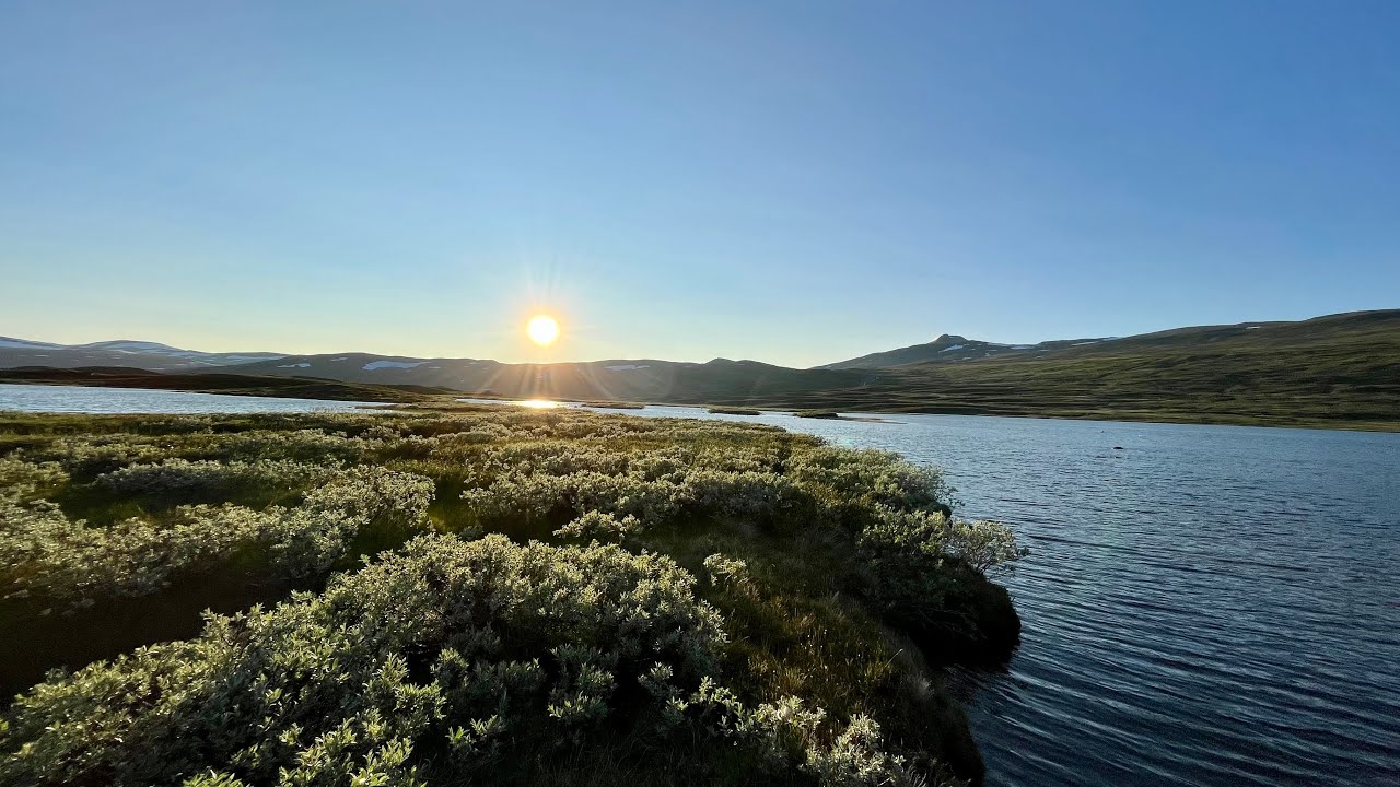 En liten uke i Børgefjell