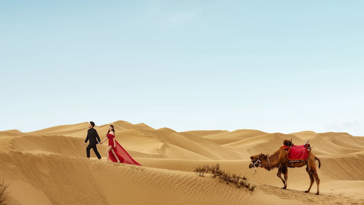 Frandy and Felisia - Pre Wedding Highlight | Putra L Photography