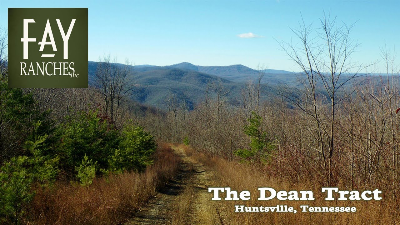 SOLD | Tennessee Mountain Property For Sale | The Dean Tract | Huntsville, TN