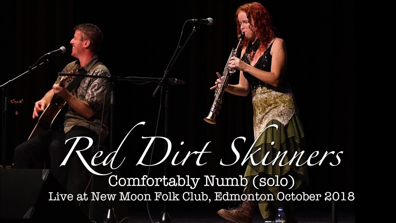 Red Dirt Skinners | Comfortably Numb (LIVE) | Solo | New Moon Folk Club, Edmonton 2018
