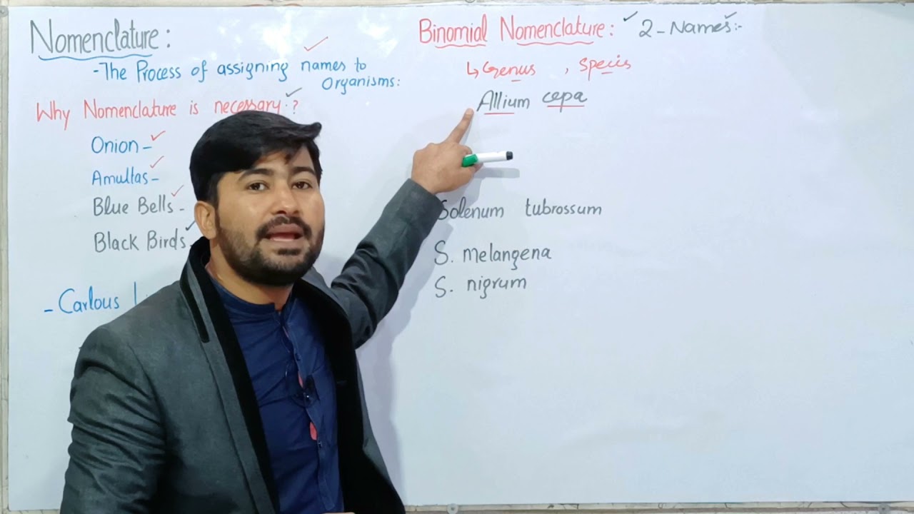 5.2 Nomenclature | Binomial nomenclature | Variety of life class 11 Biology