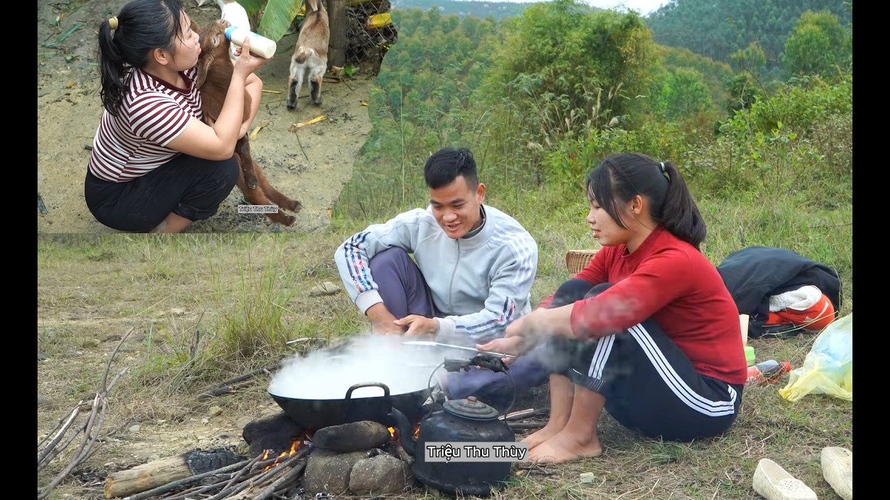 Taking care of newborn goat kids - harvesting lots of duck eggs - what will happen to Ngoan and Tu?