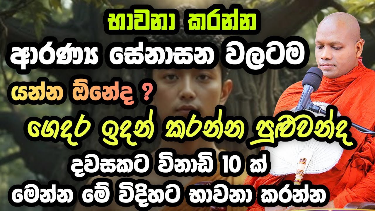 දවසකට විනාඩි 10 ක්‌ මේ විදිහට භාවනා කරන්න | හසලක සීලවිමල | Hasalaka Seelawimala Thero |