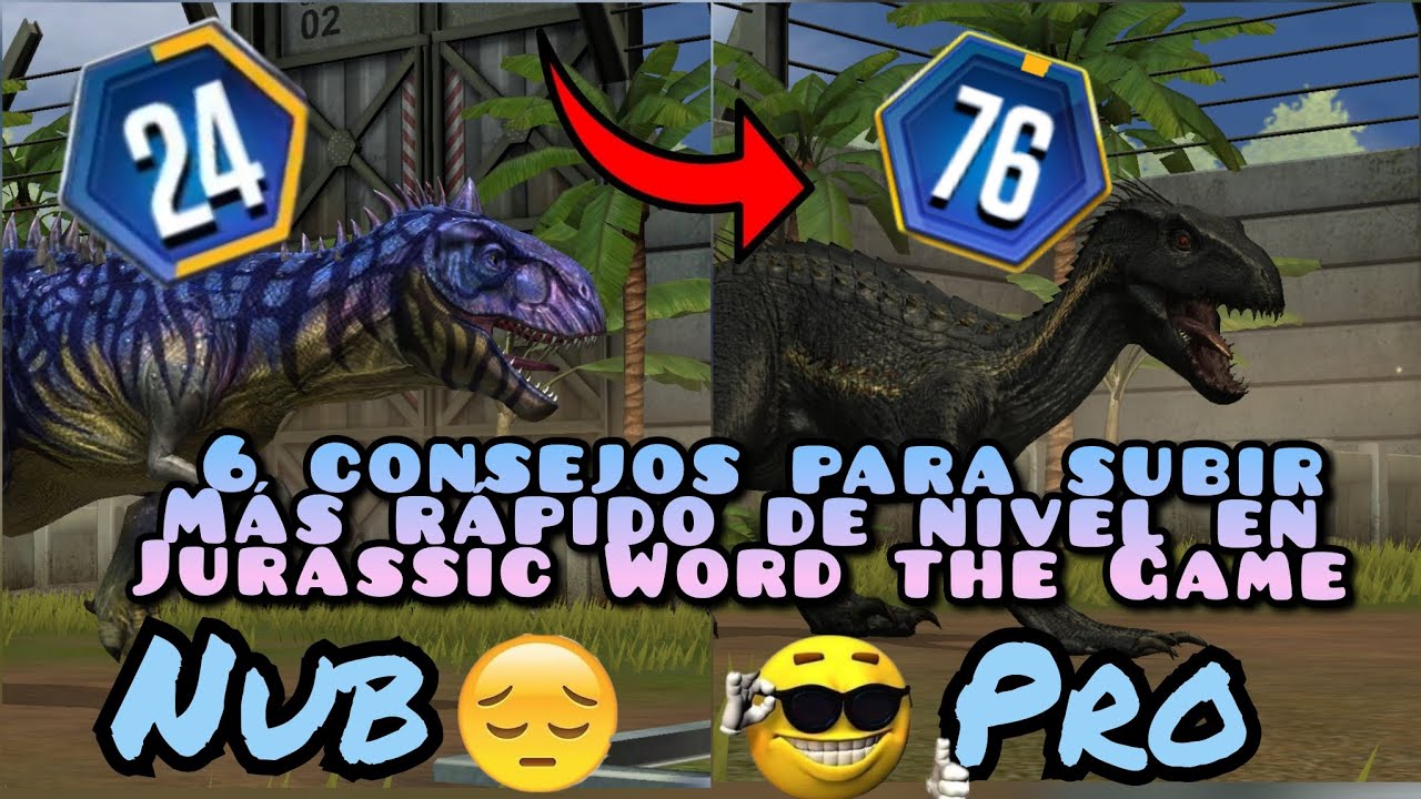 6 consejos para subir más rápido en JWTG