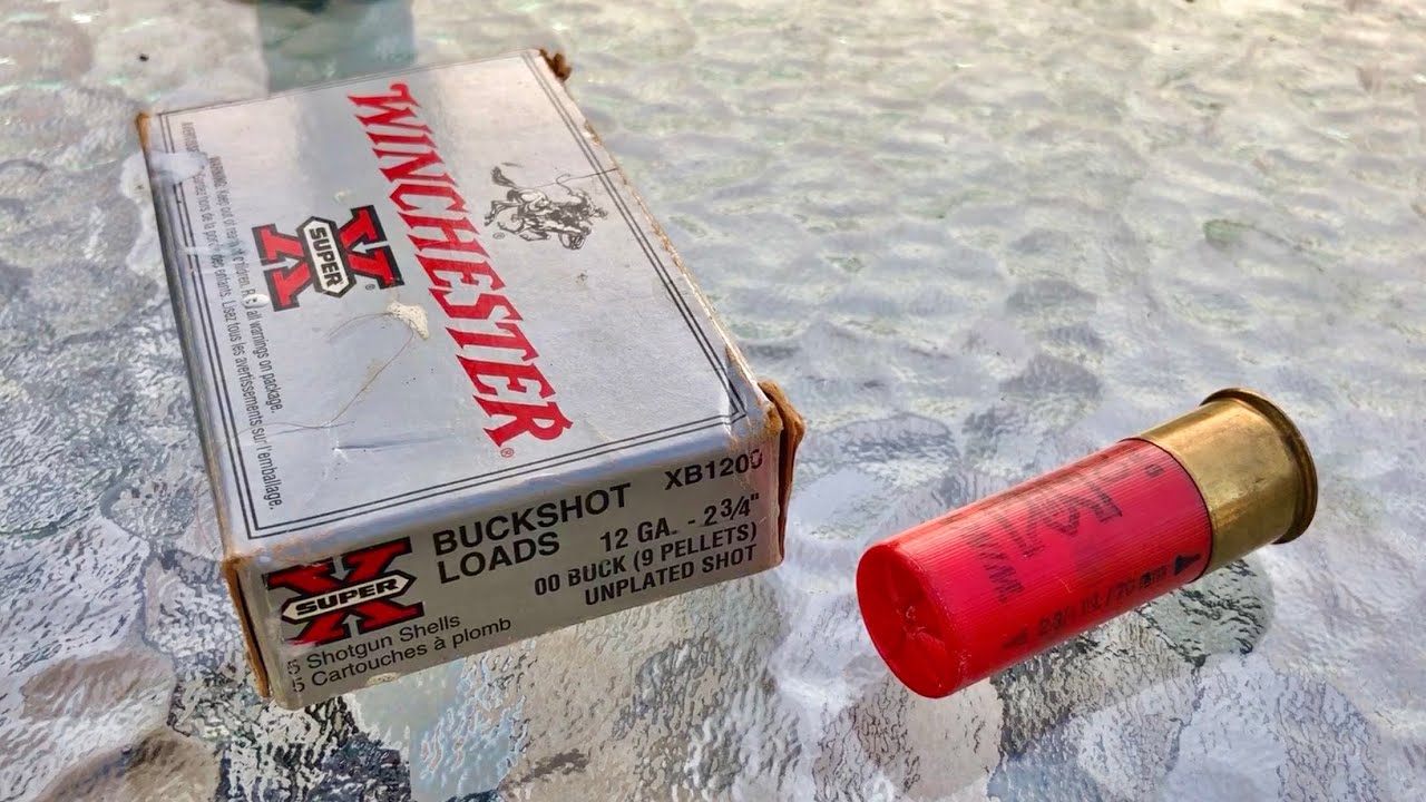Винтажный Винчестер 12 калибра Super X 9 Pellet 00 Buck — Разборка