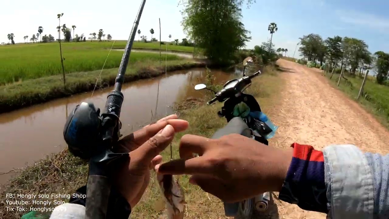 របៀបបបក់ត្រីស្រែតាមប្រលាយបាន 100%