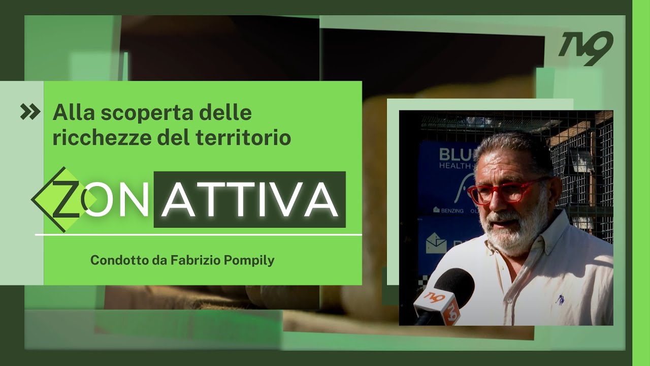 Zonattiva - Piccioni viaggiatori